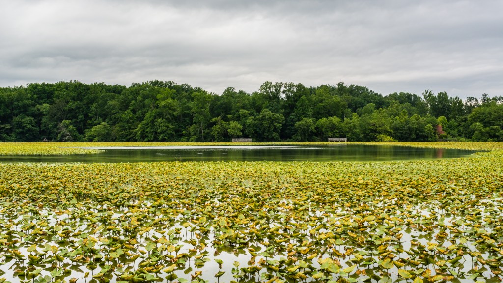 Historic Smithville Park – New&nbsp;Jersey